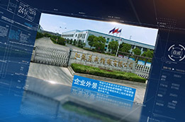 江苏森威精锻有限公司2020年宣传片
