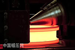 Bruck锻造公司