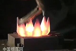 爪极